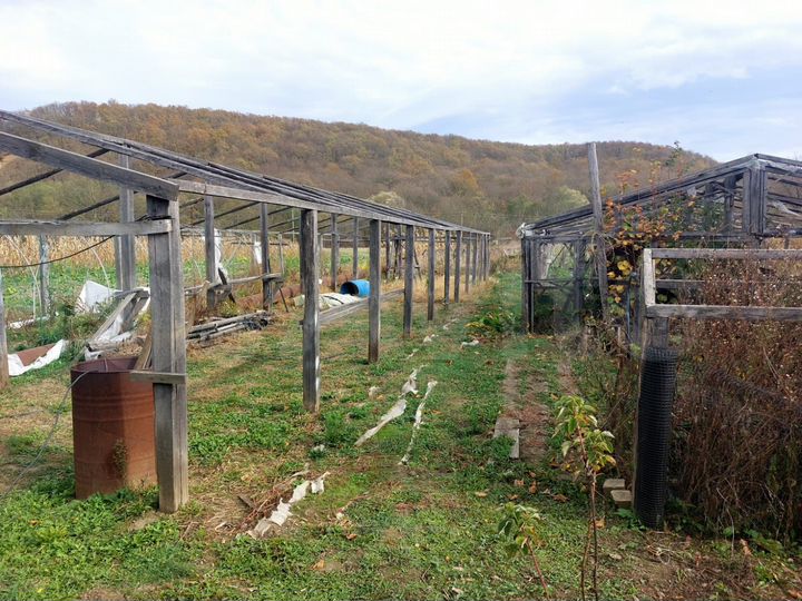 Дом 45,3 м² на участке 11,3 сот.