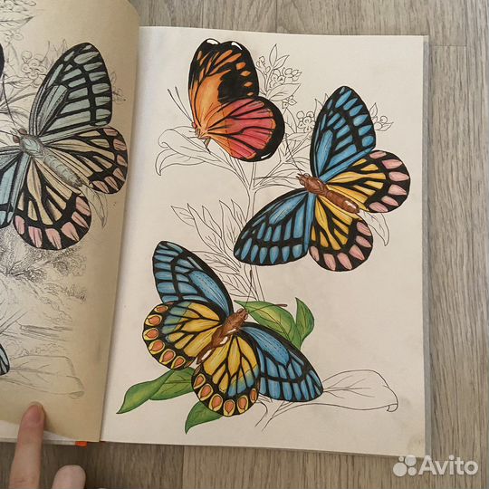 Раскраска для взрослых