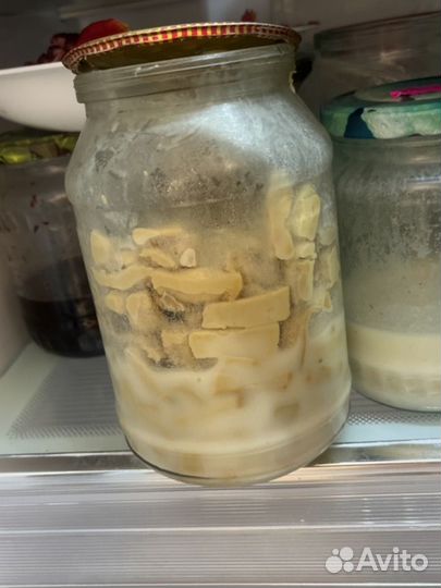 10 литровая банка