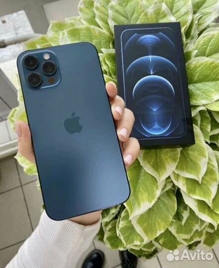 iPhone 12 Pro Max 512 ocean blue