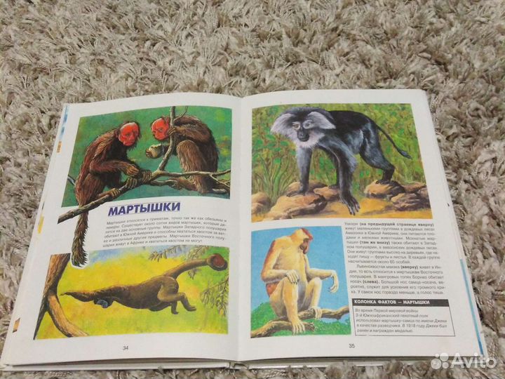 Детские энциклопедии