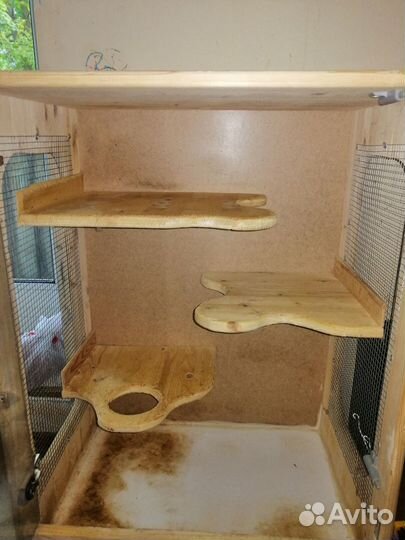 Клетка-витрина для шиншиллы