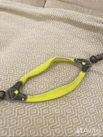 Амуниция для собак мелких пород