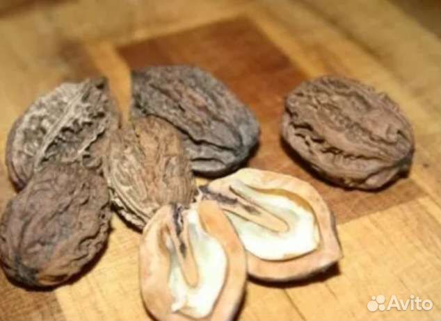 Маньчжурский орех саженцы