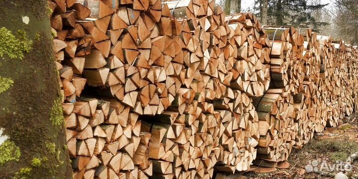 Дрова 35 см