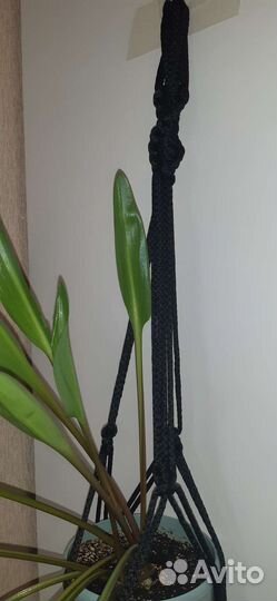 Подвес для кашпо.В технике макраме