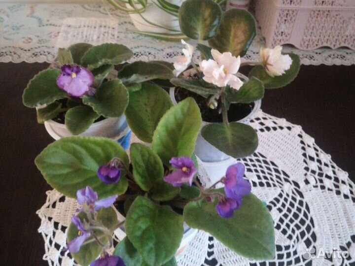 Декор для интерьера