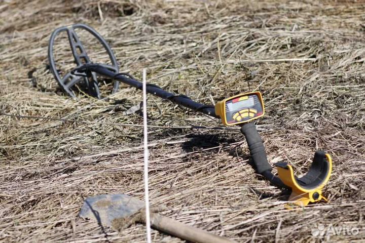 Металлоискатель garrett ace 350 euro