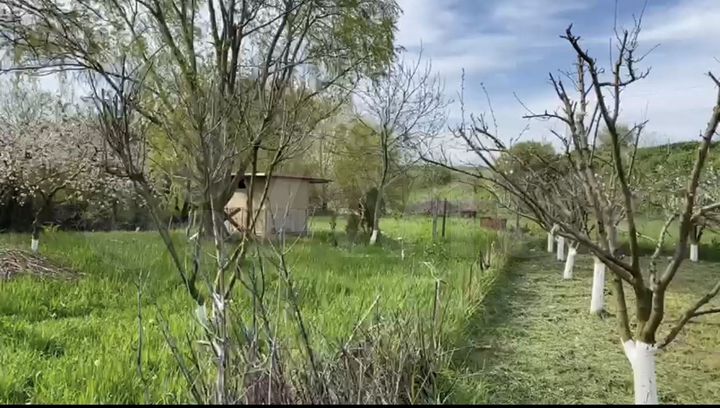 Дом 254,5 м² на участке 10 сот.