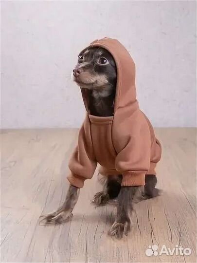 Одежда для кошек и собак ручная работа