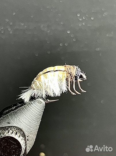 Мушки на хариуса