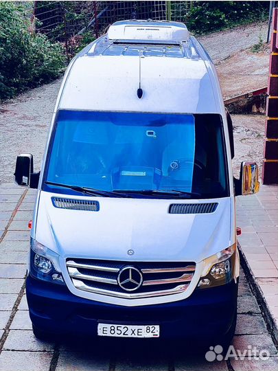 Водитель категории «Д»