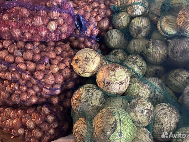 Продам овощи