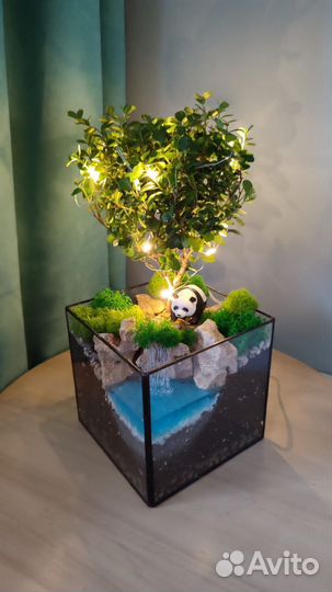 Флорариум Бонсай