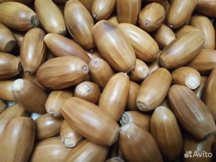 Желуди, орехи, шишки