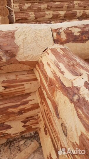 Домовые и банные срубы под заказ