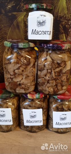 Грибы и грибная икра