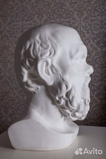 Гипсовая голова Сократ
