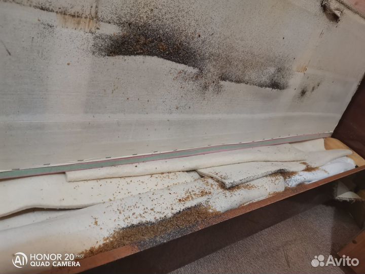 Дезинфекция от насекомых. Клопы, тараканы, клещи