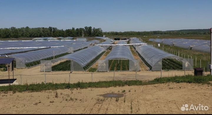 Готовый бизнес,сельское хозяйство