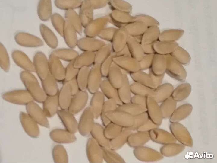 Тыква Серая Волжская,дыня