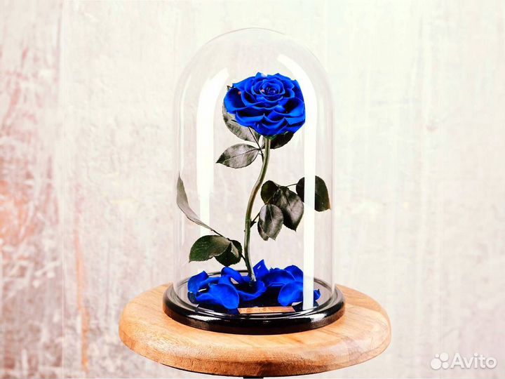 Роза в колбе Deluxe Синяя