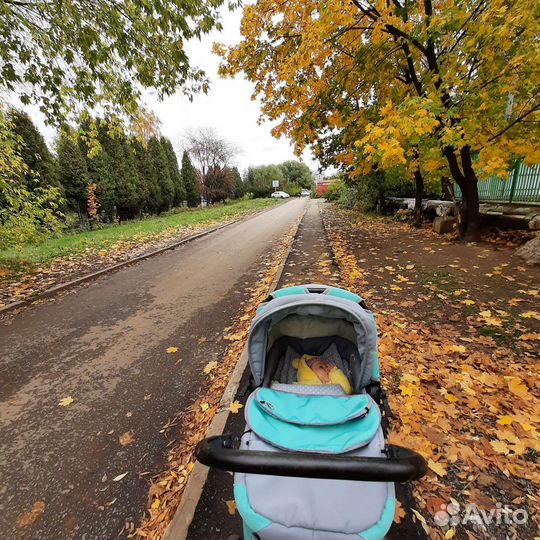 Коляска 2 в 1