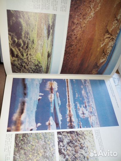 Природа России. 1987г. 223стр