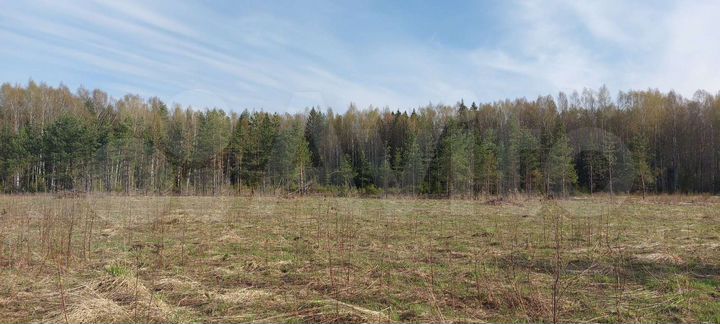 Участок 11 сот. (ИЖС)