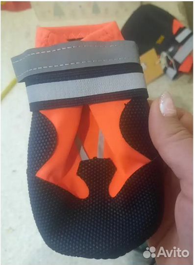 Обувь для крупных собак