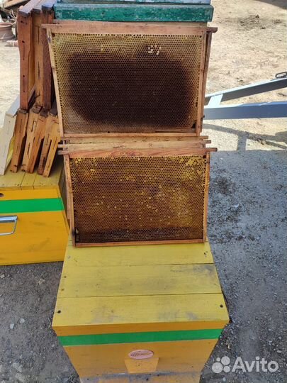 Сушь для пчел