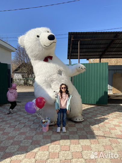 Поздравление от белого медведя, ростовая кукла