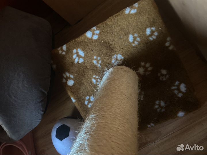 Когтеточка для кошек бу