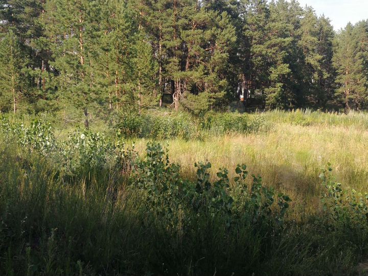 Участок 14 сот. (ИЖС)