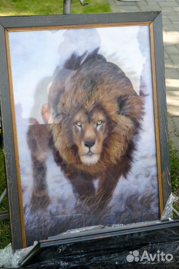 Картины шерстью