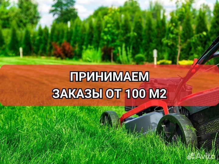 Рулонный газон/продажа/укладка