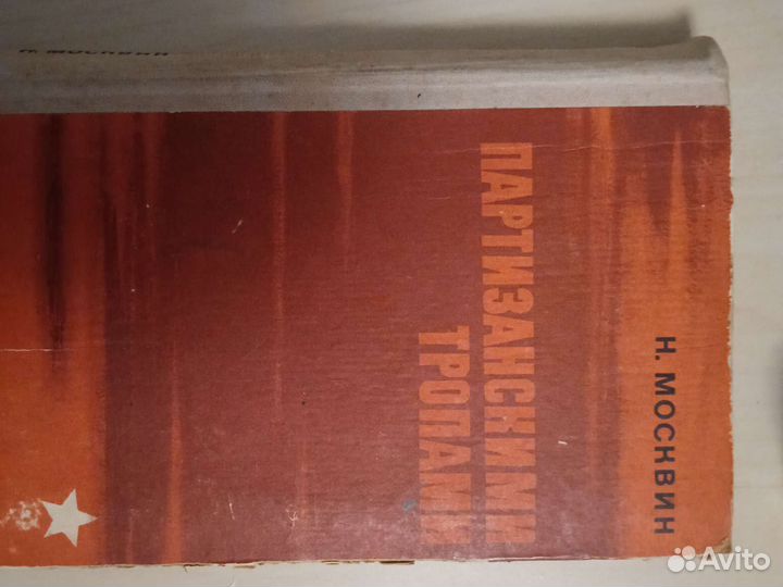 Книга Партизанскими тропами