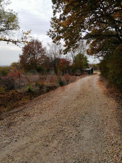 Участок 5,1 сот. (СНТ, ДНП)