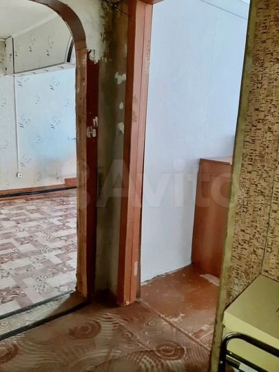 2-к. квартира, 32,9 м², 1/2 эт.