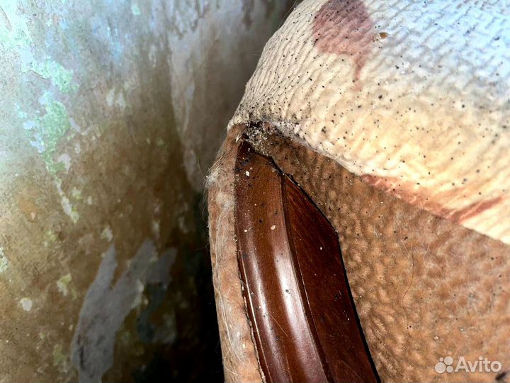 Уничтожение клопов, тараканов, мышей