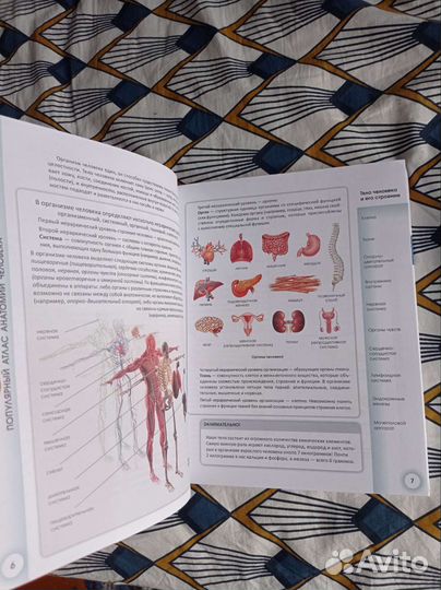Популярный атлас анатомии человека