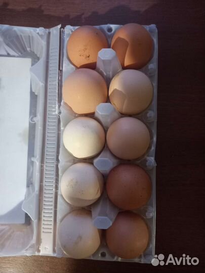 Домашние куриные яйца деревенские