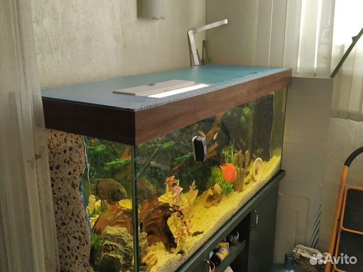 Аквариум с тумбой 450л