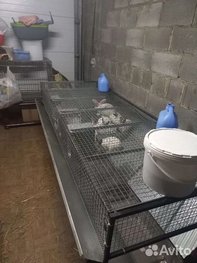 Клетки для кроликов (маточные, откорм)