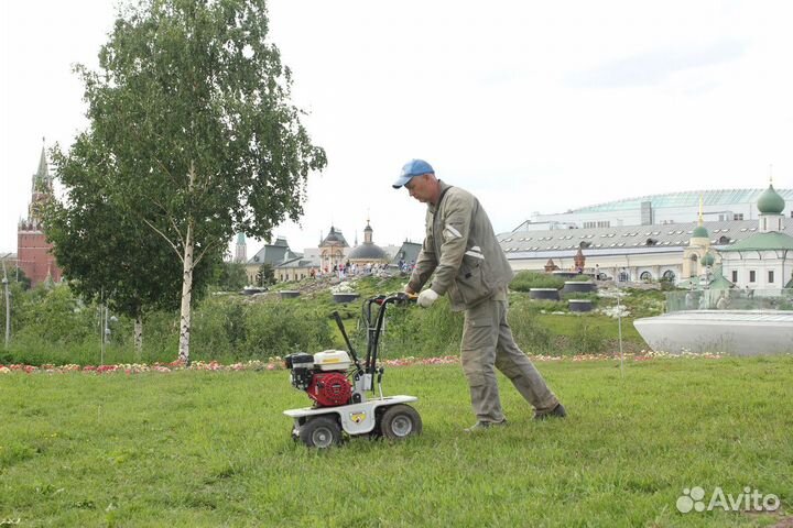Рулонный газон с бесплатным замером