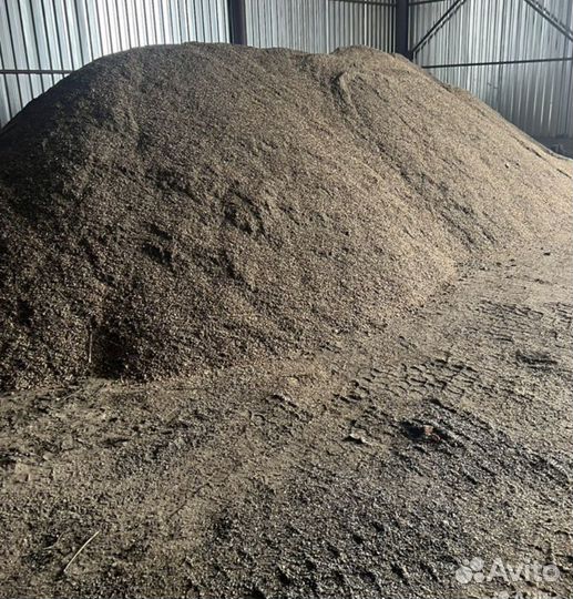 Продам поросят