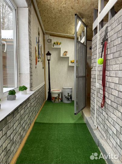 Отель для собак