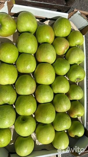 Яблоки грени- смит оптом
