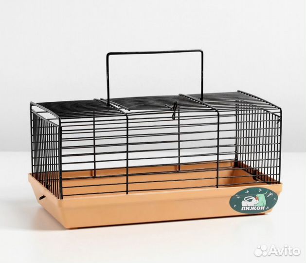 Хомячок джунгарский 2 месяца с клеткой