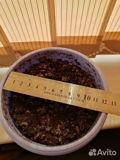 Горшок для цветов